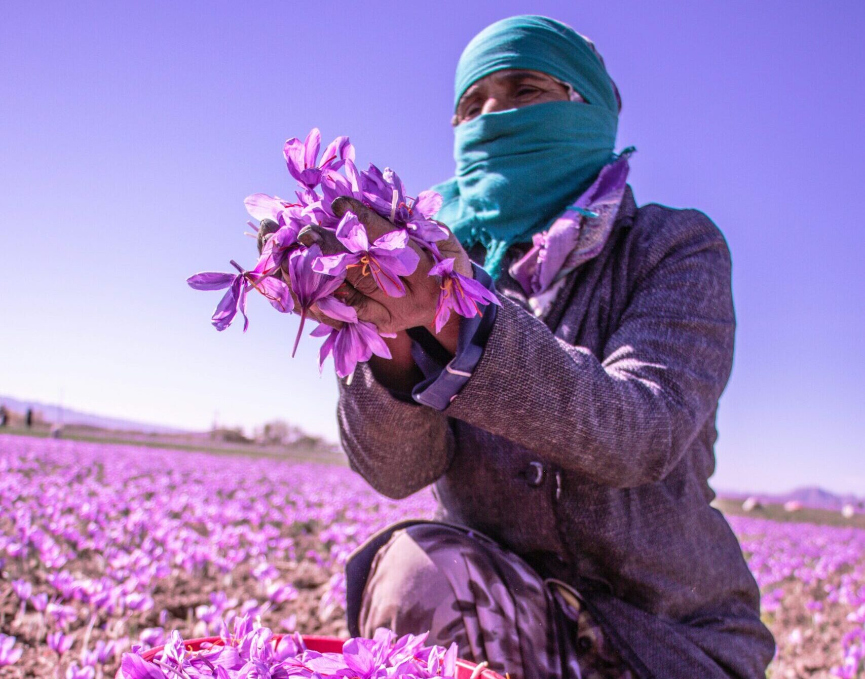 Luxury Botanical Beauty — Est. 2024