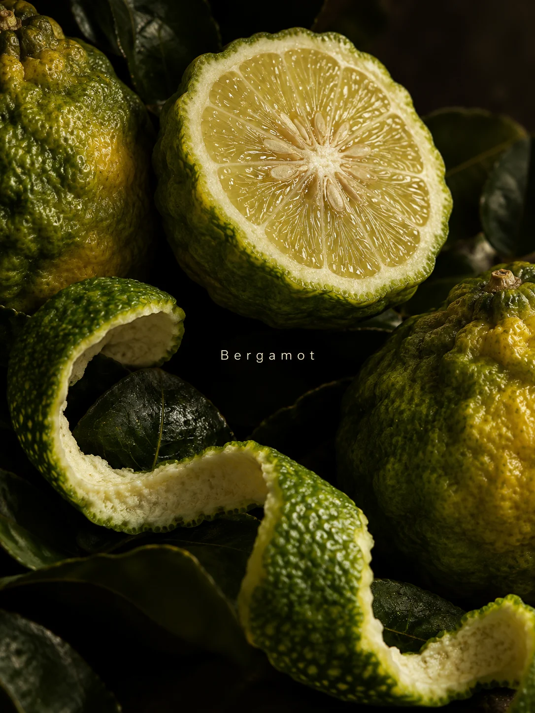 Bergamot